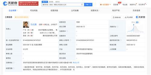 馬化騰任騰訊科技寶安分公司負責人，聚焦信息系統集成服務發展