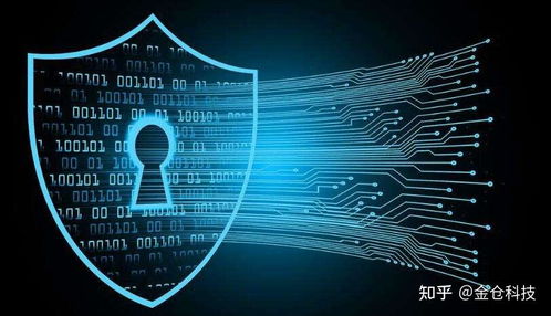 Web3.0、IPFS與Filecoin的協同演進 信息系統集成服務的視角